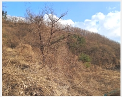  2024Ÿ102080 Ưġ ΰ  26       (Ӿ)