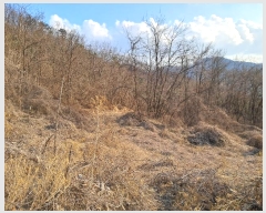  2024Ÿ102080 Ưġ ΰ  26       (Ӿ)