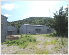  2024Ÿ��115536 �泲 �ݻ걺 ���ϸ� ������ 305      ������