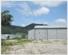  2024Ÿ��115536 �泲 �ݻ걺 ���ϸ� ������ 305      ������