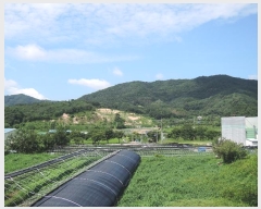  2024Ÿ��115536 �泲 �ݻ걺 ���ϸ� ������ 305      ������