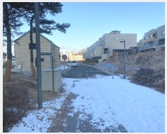  2024Ÿ123377 Ưġ عн2 13,  1,1,2,3102ȣ (عе,)     ټ,