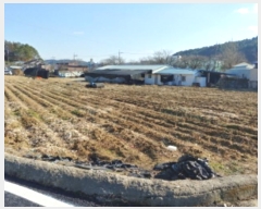  2024Ÿ123506 泲 ݻ걺 ݻ θ 337      ()