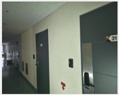  2024Ÿ124684 Ưġ å3 6, 3313ȣ (ݰ,ũ)      Ȱð