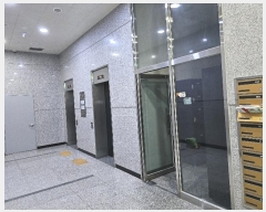  2024Ÿ124684 Ưġ å3 6, 3313ȣ (ݰ,ũ)      Ȱð