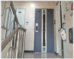  2024Ÿ603   ߸ 53       ټ,