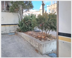  2024Ÿ603   ߸ 53       ټ,