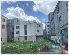  2024Ÿ��7451 ���� ������ �����ﵿ 516-11       �ܵ�����,�����ð��