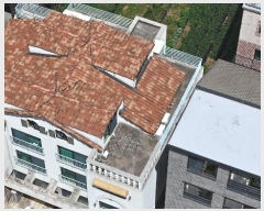  2024Ÿ��7451 ���� ������ �����ﵿ 516-11       �ܵ�����,�����ð��