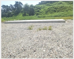  2024Ÿ8683 Ưġ Ǹ  578-31       (1)