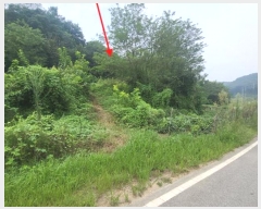  2024Ÿ8683 Ưġ Ǹ  578-31       (1)