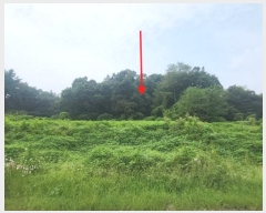  2024Ÿ8683 Ưġ Ǹ  578-31       (1)