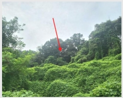  2024Ÿ8683 Ưġ Ǹ  578-31       (1)