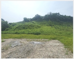  2024Ÿ8683 Ưġ Ǹ  578-31       (1)