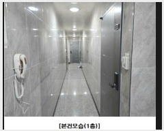  2024Ÿ9402  ߱ 593 29       ٰð