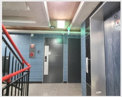  2024Ÿ113813  ߱ λ絿 137-6       ܵ,ð