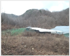  2024Ÿ��124615 �泲 �ݻ걺 ���ϸ� ������ 313      ����(��)���