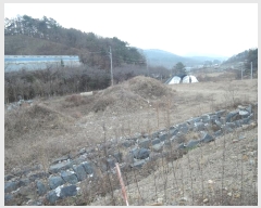  2024Ÿ��124615 �泲 �ݻ걺 ���ϸ� ������ 313      ����(��)���