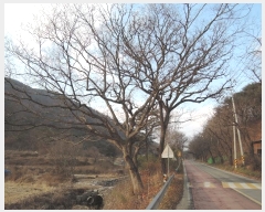  2024Ÿ��124615 �泲 �ݻ걺 ���ϸ� ������ 313      ����(��)���