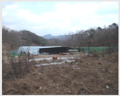  2024Ÿ��124615 �泲 �ݻ걺 ���ϸ� ������ 313      ����(��)���