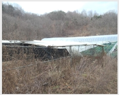  2024Ÿ��124615 �泲 �ݻ걺 ���ϸ� ������ 313      ����(��)���