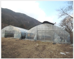  2024Ÿ��124615 �泲 �ݻ걺 ���ϸ� ������ 313      ����(��)���