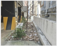  2024Ÿ��2777  �ٰ������ð��