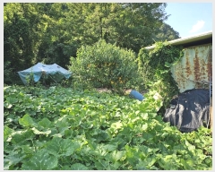  2024Ÿ��6618 �泲 �ݻ걺 �θ��� ��츮 369      ����(��1)���