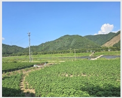  2024Ÿ��6618 �泲 �ݻ걺 �θ��� ��츮 369      ����(��1)���