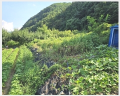  2024Ÿ��6618 �泲 �ݻ걺 �θ��� ��츮 369      ����(��1)���