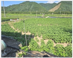  2024Ÿ��6618 �泲 �ݻ걺 �θ��� ��츮 369      ����(��1)���