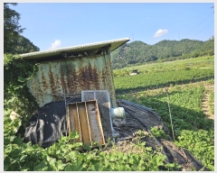  2024Ÿ��6618 �泲 �ݻ걺 �θ��� ��츮 369      ����(��1)���