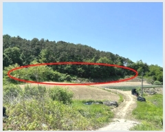  2024Ÿ��109111  �����