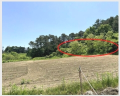  2024Ÿ��109111  �����