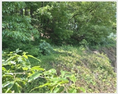  2024Ÿ��109111  �����