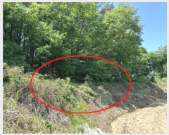  2024Ÿ��109111  �����