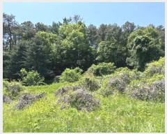  2024Ÿ��109111  �����