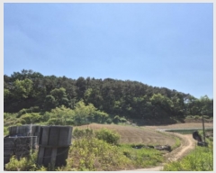  2024Ÿ��109111  �����