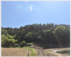  2024Ÿ��109111  �����