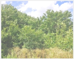  2024Ÿ114052 泲 ݻ걺 θ ̸ 420-3      (1)