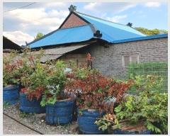  2024Ÿ��118047 �泲 �ݻ걺 ���ϸ� ���븮 193-5      ����(����)���