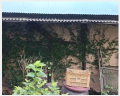  2024Ÿ��118047 �泲 �ݻ걺 ���ϸ� ���븮 193-5      ����(����)���