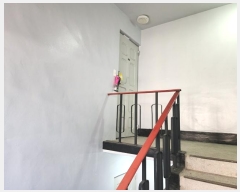  2024Ÿ118511   117 53,  3302ȣ     ټ,