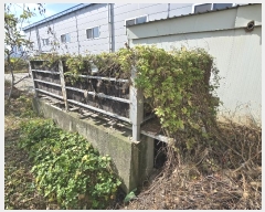  2024Ÿ120927   ȭ 440       ()