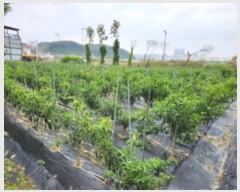  2024Ÿ120927   ȭ 440       ()