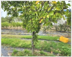  2024Ÿ120927   ȭ 440       ()