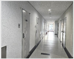  2024Ÿ121852 Ưġ Ѵ 306, 8815ȣ (,)      Ȱð