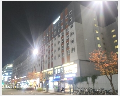  2024Ÿ121999 Ưġ Ѵ 291, 1 8819ȣ (,Ȱ ְ๰)    Ȱð