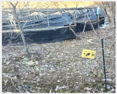  2024Ÿ123148 泲 ݻ걺  ﰡ 423-1      (Ӿ)