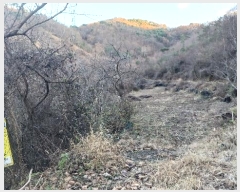  2024Ÿ123148 泲 ݻ걺  ﰡ 423-1      (Ӿ)